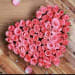 Pink Tray | 40 Flowers Pink Tray | 40 Flowers
